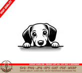 Dachshund Peekaboo Play SVG